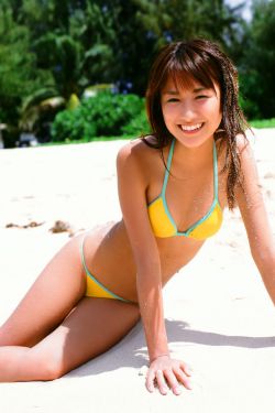 井上晴美